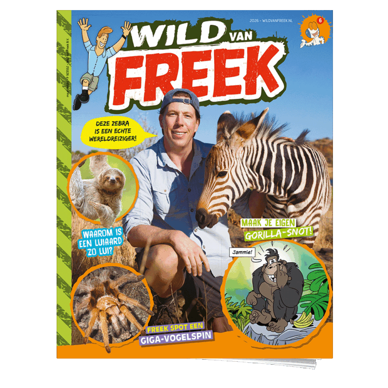 Wild van Freek 6 | Zebra