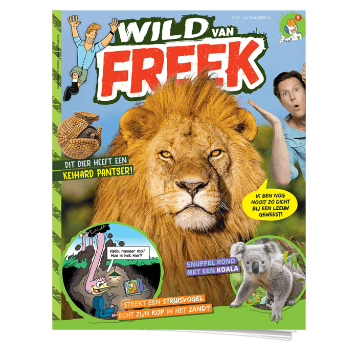 Wild van Freek 9 | Leeuw