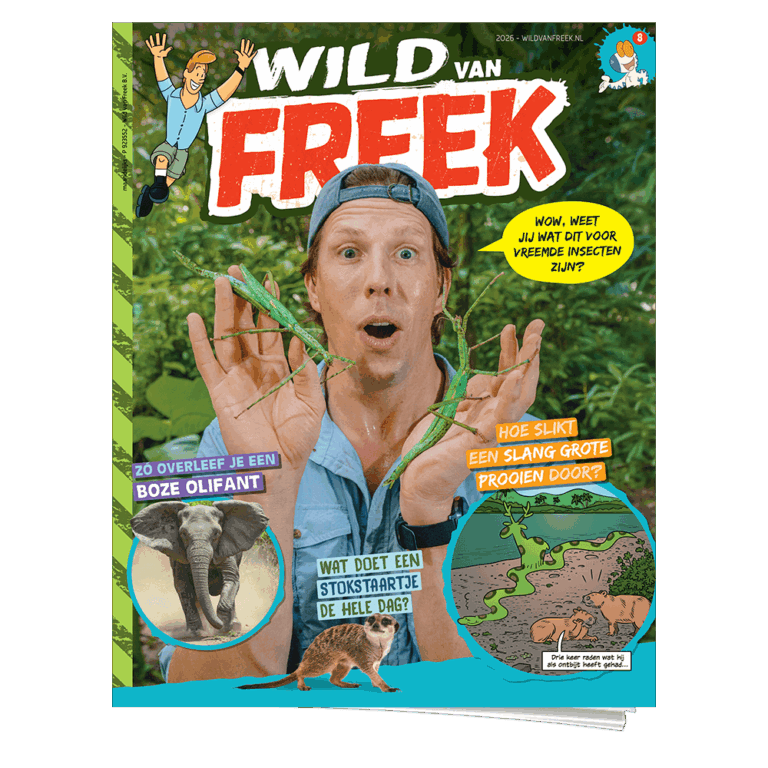 Wild van Freek 8 | Wandelende takken